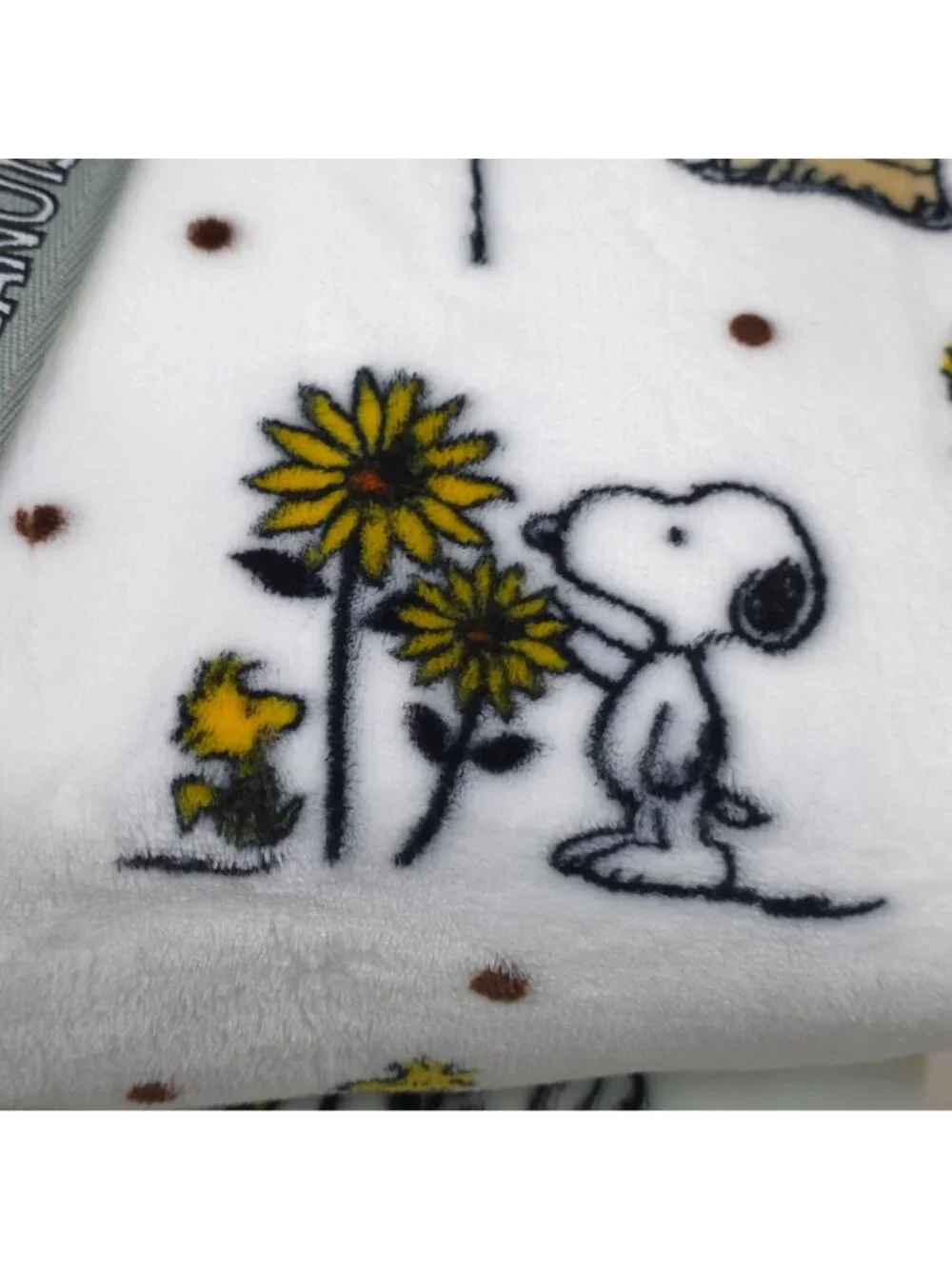 Peanuts Snoopy VelvetLoft Blanket 90